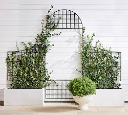 Garden Trellis
