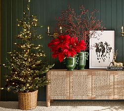 Lit Pine Tree in Basket