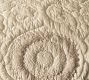 Alanya Suzani Quilted Shams