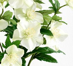 Faux Potted Hellebore