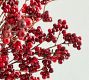 Faux Wild Twig &amp; Red Berry Bundle