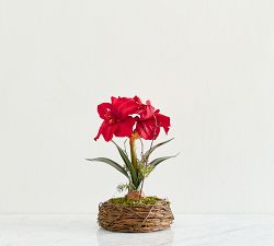 Faux Composed Amaryllis in Basket