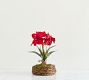 Faux Composed Amaryllis in Basket