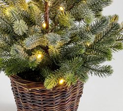 Faux Lit Blue Spruce Tree