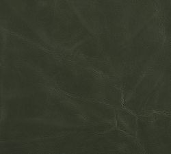 Open Box: Jake Leather Dining Armchair, Vintage Hunter - Blackened Oak Legs