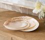 Polished Decorative Shell