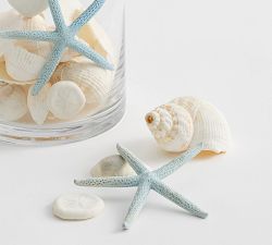 Blue &amp; White Mixed Shell Vase Filler