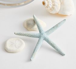 Blue &amp; White Mixed Shell Vase Filler