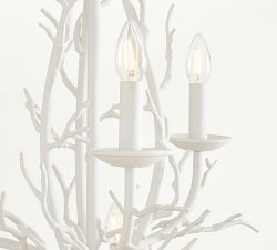 Athena Coastal Coral Shell Chandelier (42")