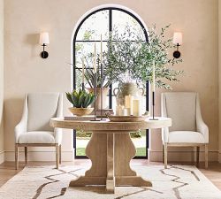 Faux Spike Aloe Plant