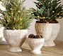 Rustic Cachepot
