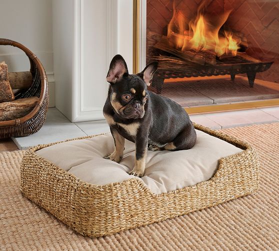 Safi Pet Bed | Pottery Barn