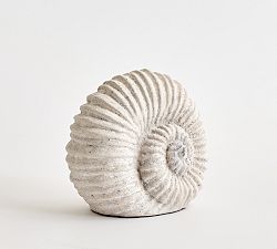 Decorative Spiral Shell