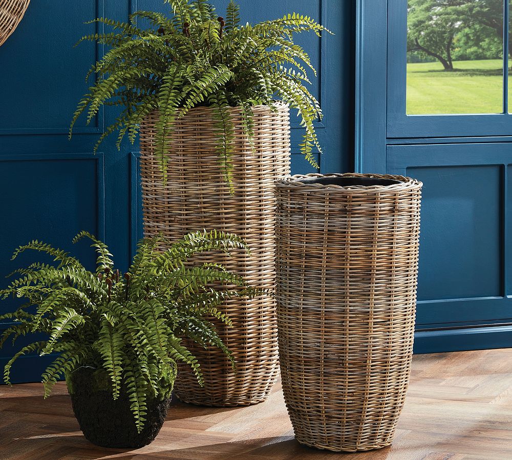 Diego Handwoven Rattan Planters by Pottery Barn