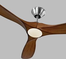 52" Rayanne Indoor/Outdoor Ceiling Fan