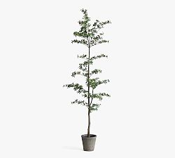 Open Box: Faux Black Olive Tree, Mini Leaf - Green