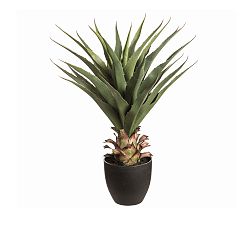 Faux Potted Agave Ameriana