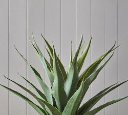 Faux Potted Agave Ameriana
