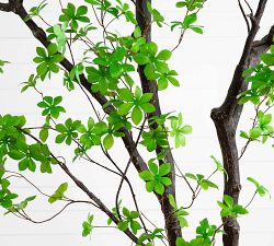 Faux Enkianthus Tree