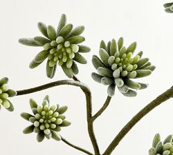 Faux Flowering Succulent Branch
