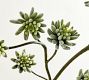Faux Flowering Succulent Branch