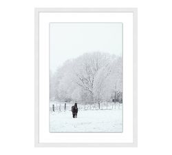 Winter Stallion Framed Print