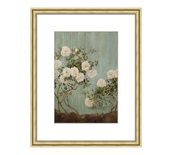 Summer Roses Framed Print by Carleigh Courey