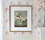 Summer Roses Framed Print by Carleigh Courey