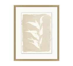 Open Leaves Framed Print