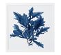 Framed Coral Prints - Indigo