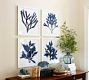 Framed Coral Prints - Indigo