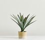 Faux Composed Agave Plant