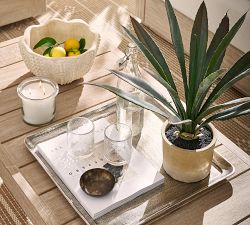 Faux Composed Agave Plant