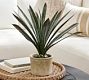 Faux Composed Agave Plant