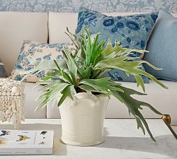 Faux Potted Staghorn Fern