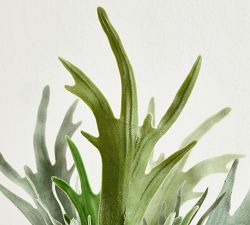 Faux Potted Staghorn Fern