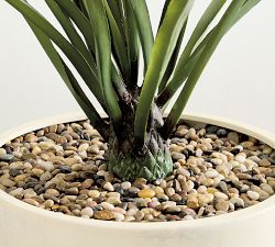 Faux Potted Draping Succulent