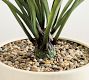 Faux Potted Draping Succulent