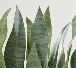 Faux Potted Faded Whale Fin