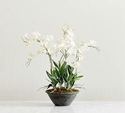 Faux Composed Orchid