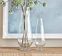 Organic Stem Glass Vase