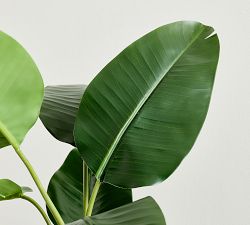 Faux Banana Leaf Tree