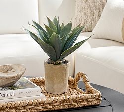 Faux Composed Agave Root Plant