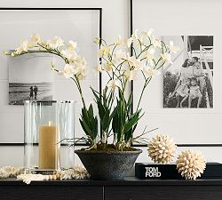 Faux Composed Orchid