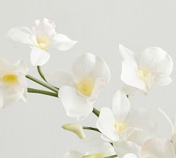 Faux Composed Orchid