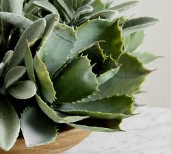 Faux Composed Succulent Arrangement