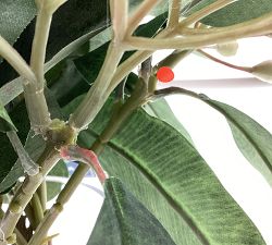 Open Box: Faux Eucalyptus Arrangement In Glass Vase