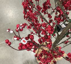Open Box: Lit Blissful Berry Tree (5') - Red
