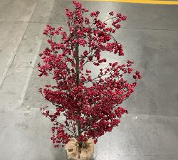 Open Box: Lit Blissful Berry Tree (5') - Red