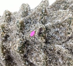 Open Box: Premium Flickering Flameless Tree Candle, Large (9"H) - Green Spruce